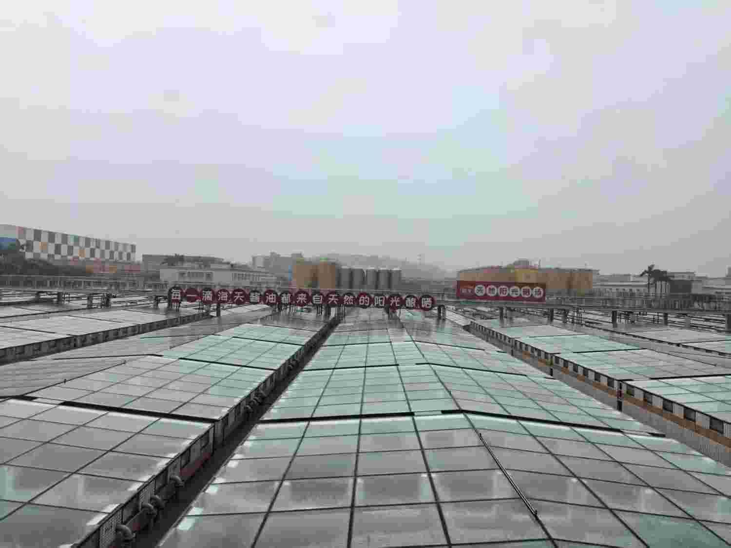 از سنت ۴۰۰ ساله تا کارخانه هوشمند؛ روایت جهانی شدن یک بطری سس سویا