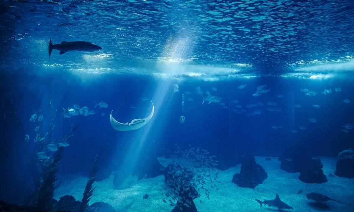 تلاش جهانی برای مهار رقابت یکجانبه آمریکا در معادن اعماق دریا
