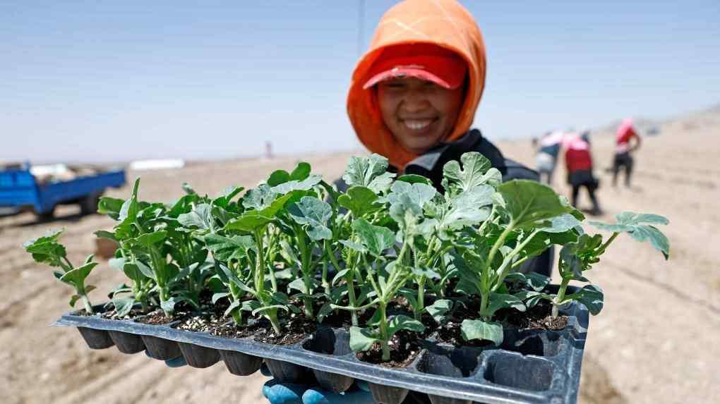 گرانبهای چین در تبدیل شکاف‌های منطقه‌ای به فرصت توسعه 1