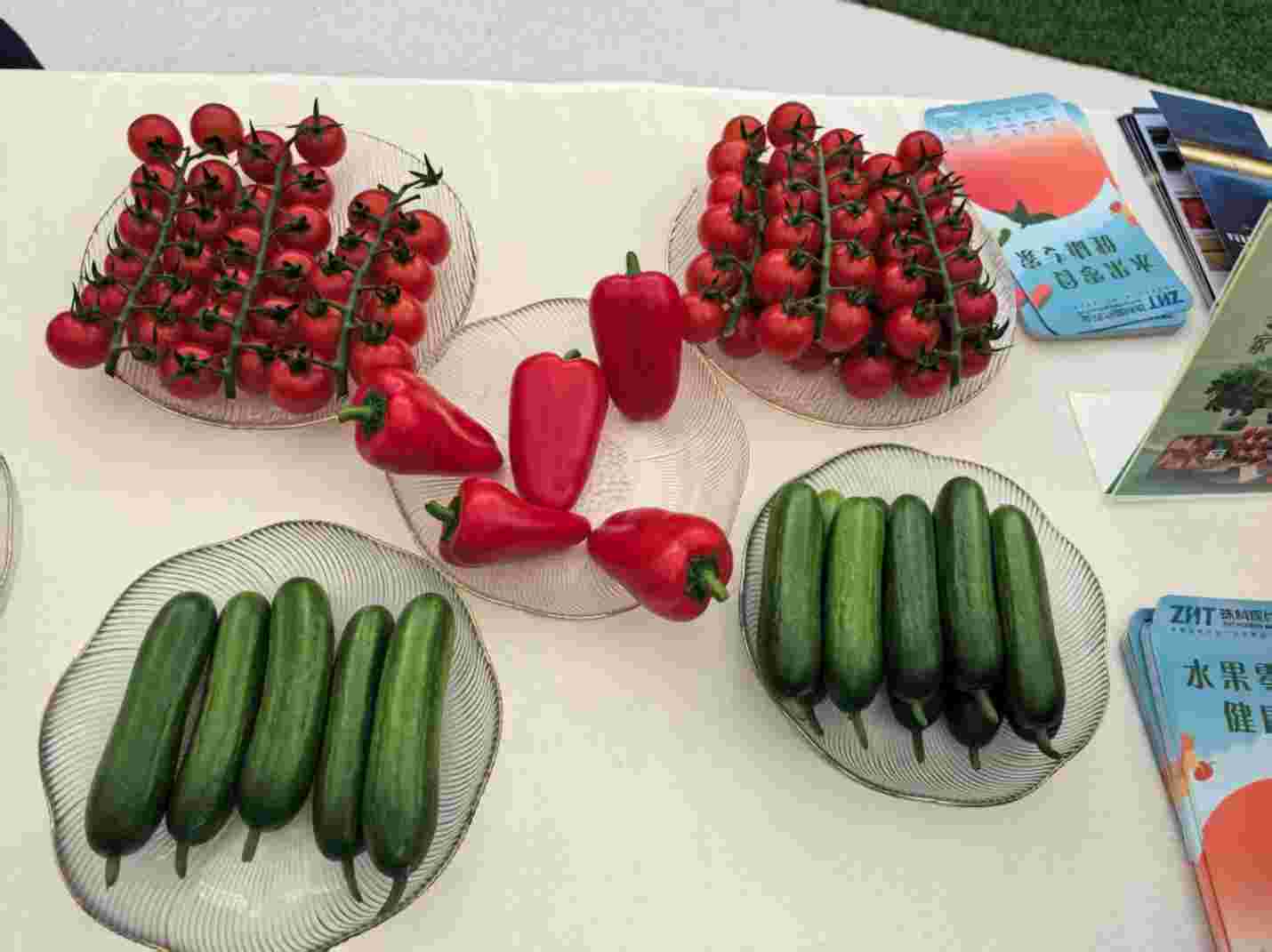 تسریع ارتقای کیفی کشاورزی مدرن در منطقه خلیج بزرگ چین با بهره‌گیری از فناوری