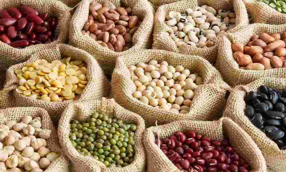 قیمت حبوبات بسته بندی شرکتی در میادین و بازارهای میوه و تره بار تهران اعلام شد