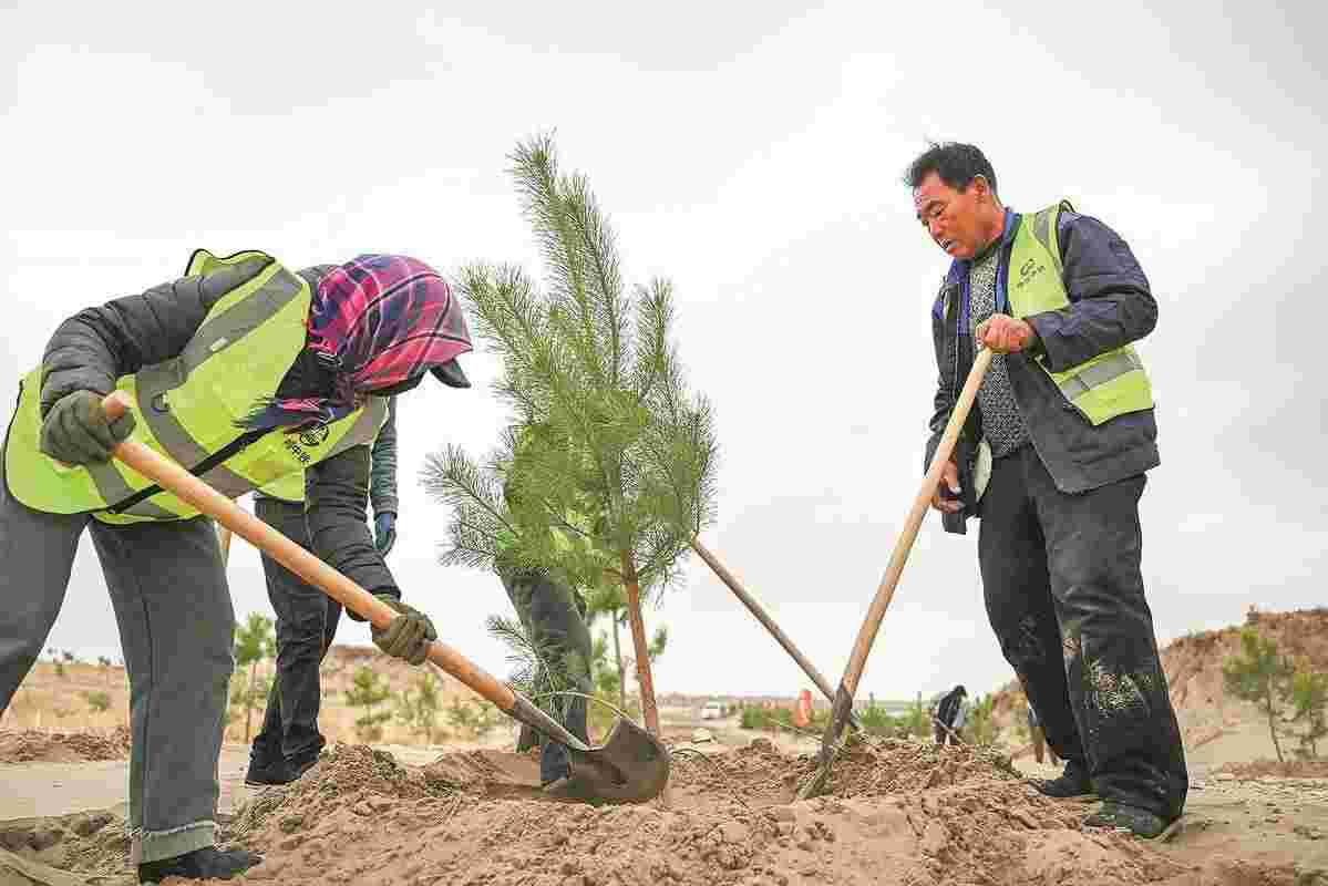 گام‌های بلند چین در پاسداشت محیط زیست و تقویت اقتصاد سبز